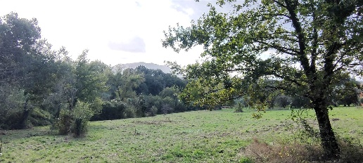 Foto Terreno agricolo a Stimigliano di 8278 m² in vendita