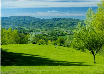 Foto Terreno agricolo a Scarperia e San Piero di 8000 m² in vendita