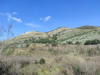 Foto Terreno agricolo a Castel San Giorgio di 5000 m² in vendita