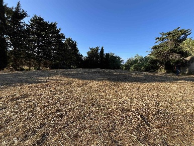 Foto Terreno agricolo a Rosignano Marittimo Rosignano Solvay di 1800 m²