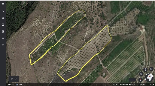 Foto Terreno agricolo a Militello in Val di Catania di 23570 m² in vendita