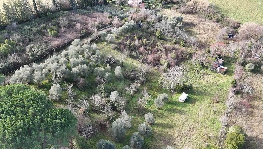 Foto Terreno agricolo in cornazzano, Poggio Nativo di 8032 m² in vendita