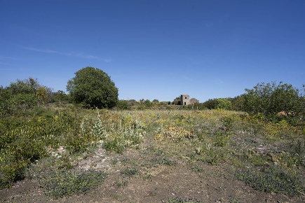Foto Terreno agricolo in VIA ROSSO DI SAN SECONDO, Belpasso di 16300 m²