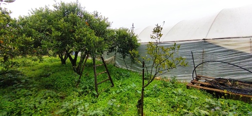 Foto Terreno agricolo a Pontecagnano Faiano Pontecagnano di 3000 m²