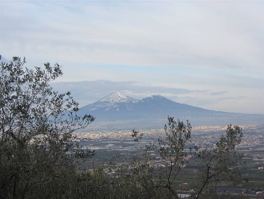 Foto Terreno agricolo a Castel San Giorgio di 7404 m² in vendita