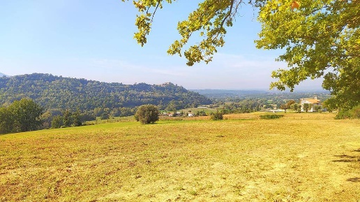 Foto Terreno agricolo a Collevecchio di 25000 m² in vendita