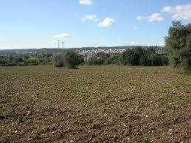 Foto Terreno edificabile a Siracusa Fanusa di 19700 m² in vendita