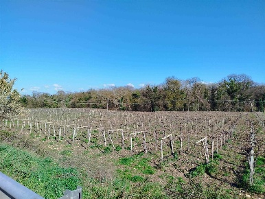 Foto Terreno edificabile a Pollutri Centro di 22800 m² in vendita