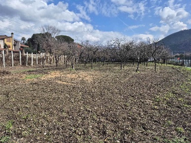 Foto Terreno agricolo in Via schiavone  10, Castel San Giorgio di 1200 m²