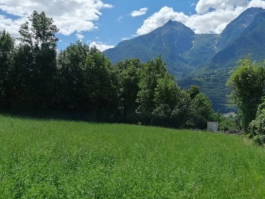 Foto Terreno edificabile in Villaggio Epraz, Quart di 1560 m² in vendita