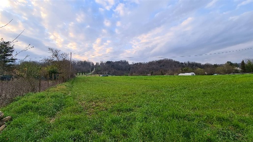 Foto Terreno agricolo a Figline e Incisa Valdarno Figline Valdarno