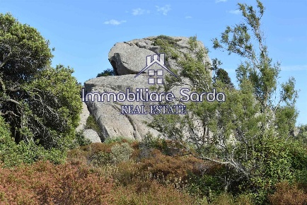 Foto Terreno agricolo a Arzachena in vendita