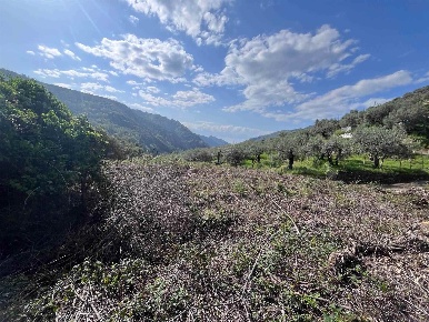 Foto Terreno edificabile a Dolceacqua di 9294 m² in vendita