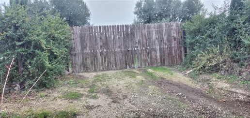 Foto Terreno agricolo in VIA DI CISTERNOLE, Frascati di 11000 m² in vendita