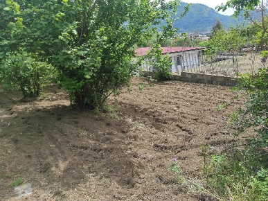 Foto Terreno agricolo in Via Paterno, Castel San Giorgio Lanzara di 850 m²