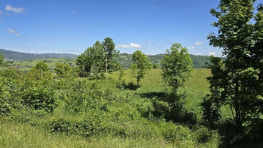 Foto Terreno edificabile a Sestola Centro di 2200 m² in vendita