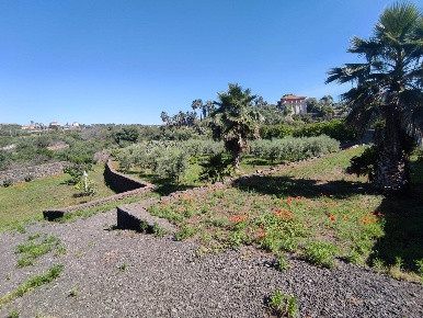 Foto Terreno agricolo in Via Madonna Degli Ammalati  95, Misterbianco