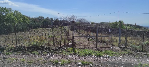 Foto Terreno agricolo in C-da Badalati, Biancavilla in vendita