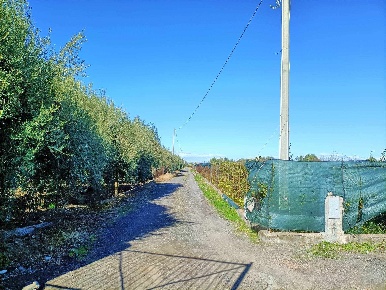 Foto Terreno agricolo in c.da Agnelleria sn, Motta Sant'Anastasia