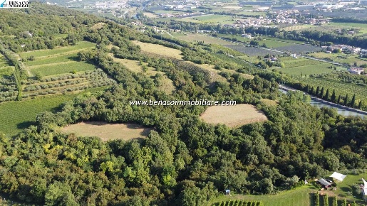 Foto Terreno agricolo a Bussolengo di 45000 m² in vendita
