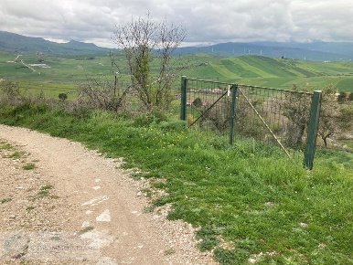 Foto Terreno agricolo in contrada Sotto La Rocca, Prizzi in vendita