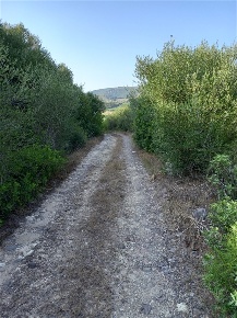 Foto Terreno agricolo in Località Marritza-Corrazzadda, Sorso in vendita