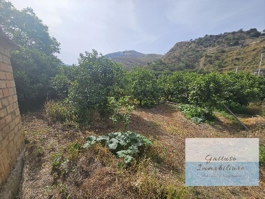 Foto Terreno agricolo in oliveto, Reggio di Calabria Ravagnese di 1000 m²