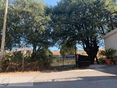 Foto Terreno edificabile in Viale delle Querce, Valledolmo di 11300 m²