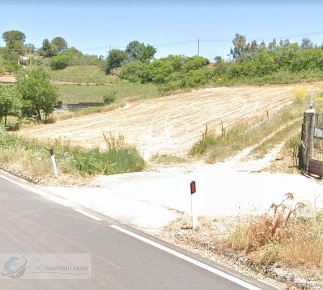 Foto Terreno agricolo in SS118 Prizzi, Prizzi di 5500 m² in vendita