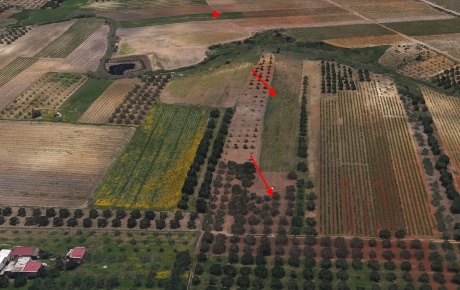 Foto Terreno agricolo in via piro, Misiliscemi Locogrande di 8400 m²