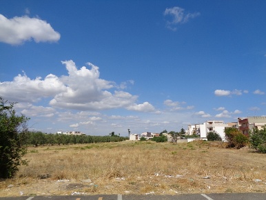 Foto Terreno edificabile a Palo del Colle Centro di 11723 m² in vendita