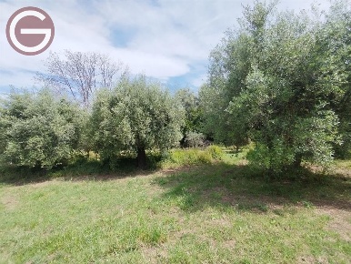 Foto Terreno agricolo a Taurianova di 850 m² in vendita