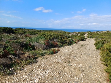 Foto Terreno agricolo in Località Tanca di Li Baddi, Stintino in vendita