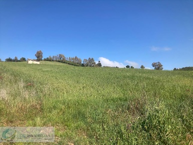 Foto Terreno agricolo a Lercara Friddi di 28749 m² in vendita