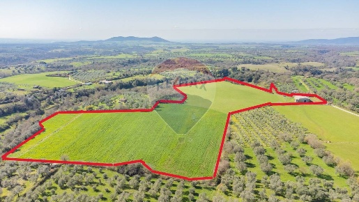 Foto Terreno agricolo in Via di Cellere, Ischia di Castro in vendita
