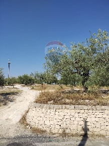 Foto Terreno residenziale in Via Canonica, Mazzarrone in vendita