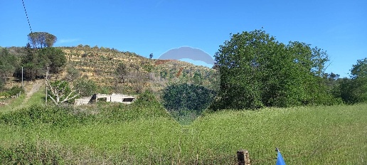 Foto Terreno agricolo in C.da Regalsemi (SP 34), Caltagirone in vendita