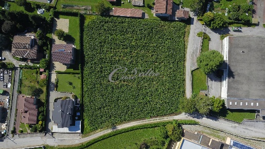 Foto Terreno residenziale in Via Fontana, Albavilla di 5870 m² in vendita