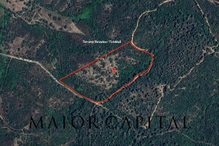 Foto Terreno agricolo in Via di la Rena, San Teodoro in vendita