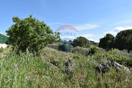 Foto Terreno agricolo in Contrada Grassurelle, Bolognetta di 1509 m²