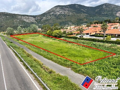 Foto Terreno agricolo in SALTO, Fondi di 9493 m² in vendita