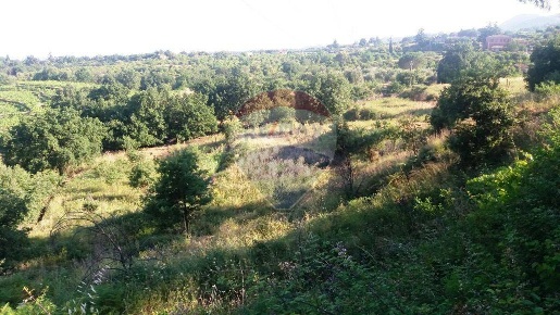 Foto Terreno agricolo in Via Riggio, Santa Venerina in vendita