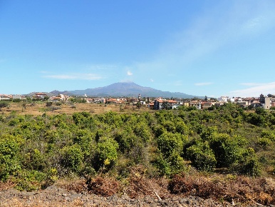 Foto Terreno agricolo in Via Carbonaro Ospizio, Mascalucia in vendita