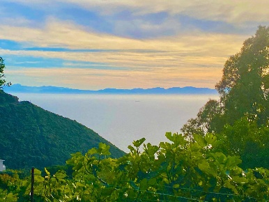 Foto Terreno residenziale a Marciana di 818 m² in vendita