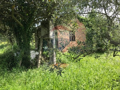 Foto Terreno residenziale in Strada provinciale 64 Certaldese II,