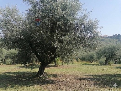 Foto Terreno residenziale in VIA LUDOVICO ARIOSTO, Moscufo di 2094 m²