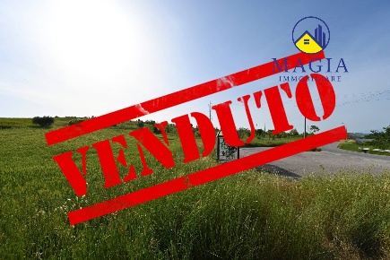 Foto Terreno residenziale a Castel di Lama di 3780 m² in vendita