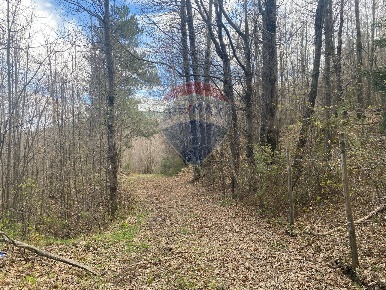 Foto Terreno agricolo in strada mareneve, Linguaglossa in vendita