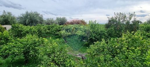 Foto Terreno agricolo in CONTRADA LEONE, Paternò in vendita