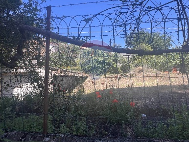 Foto Terreno residenziale in Via Tomasi di Lampedusa, Trecastagni